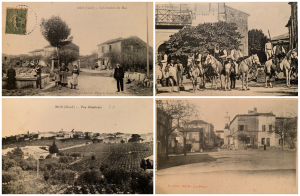 Construction de maison en rez de chaussé sur terrain a batir à Mus